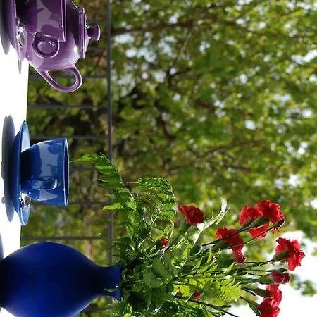 Bed and Breakfast La Casa Di Trizzi Όπως